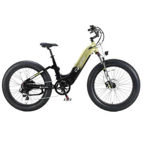 The Cyrusher Roam Electric Bike by Cyrusher is shown in side profile on a white background, featuring a black and green step-through frame, large knobby tires, front suspension, disc brakes, and a 250W motor.