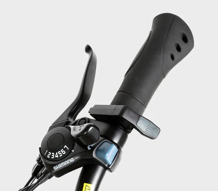 Samebike EBE2 Electric Bike 250W 36V 13Ah With Torque-Sensor Samebike