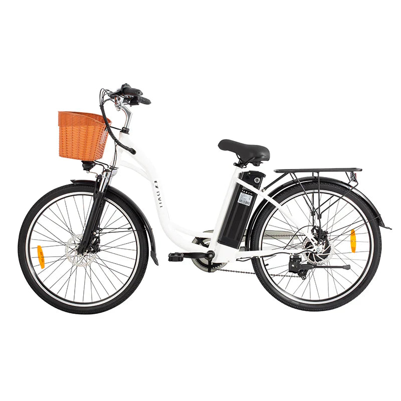 DYU C6 Electric Bike 250W 36V 12.5AH DYU