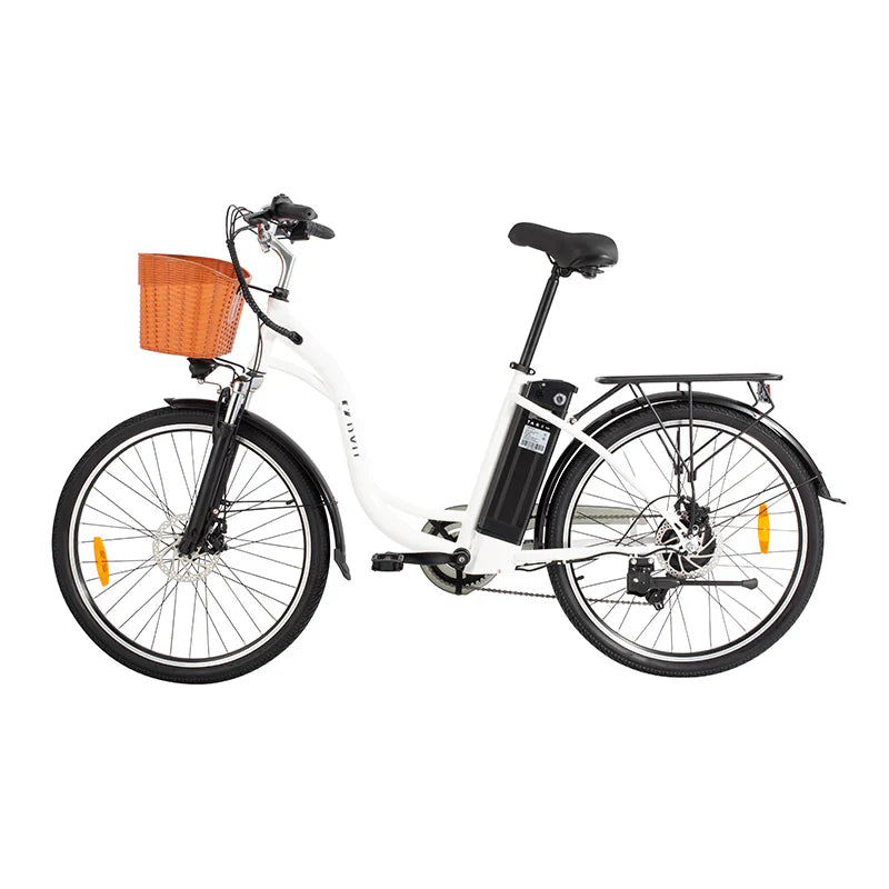 DYU C6 Electric Bike 250W 36V 12.5AH DYU