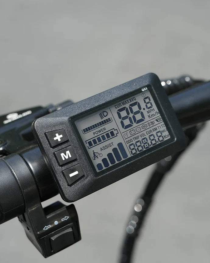 Hidoes F3 Electric Bike 250W 48V 13Ah Hidoes