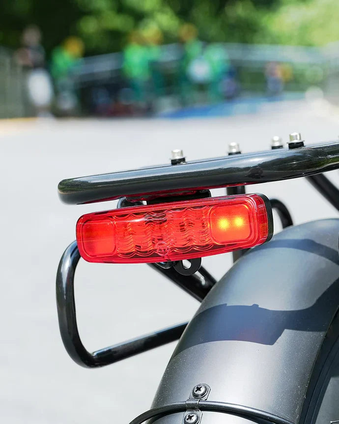 Hidoes F3 Electric Bike 250W 48V 13Ah Hidoes