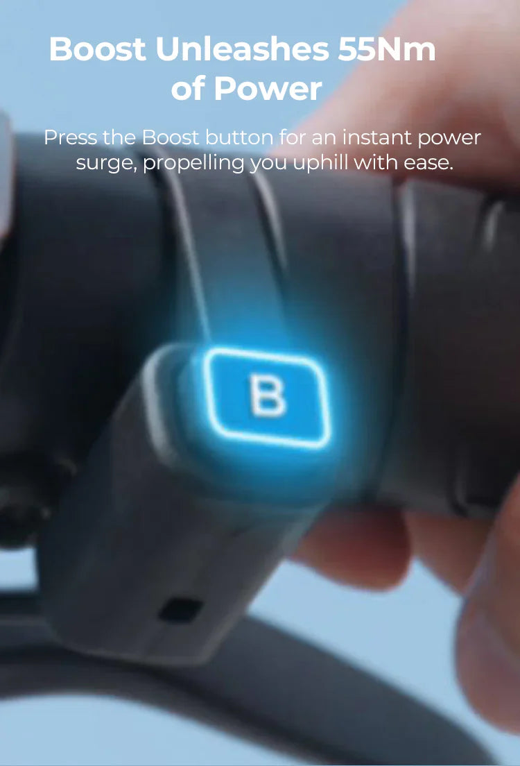 ENGWE EP-2 Boost Folding Electric Bike 250W 48V 13Ah Engwe