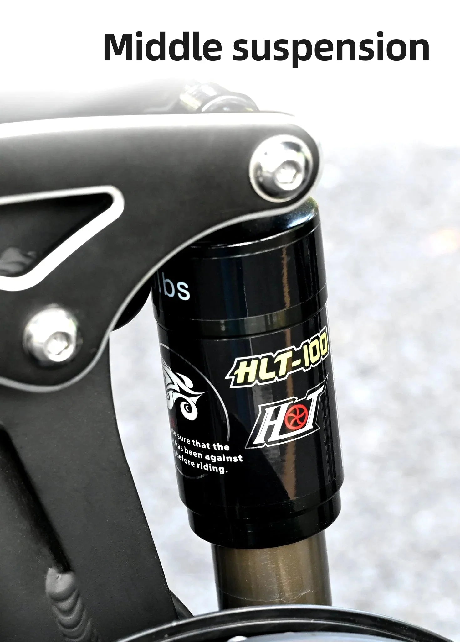 Engwe Engine X Folding Electric Bike 250W 48V 13Ah