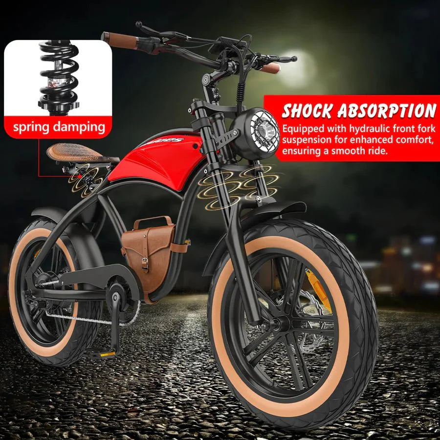 Hidoes B10 20" Fat Tire Electric Bike 1000W 48V 12.5Ah