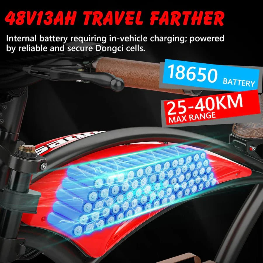 Hidoes B10 20" Fat Tire Electric Bike 1000W 48V 12.5Ah