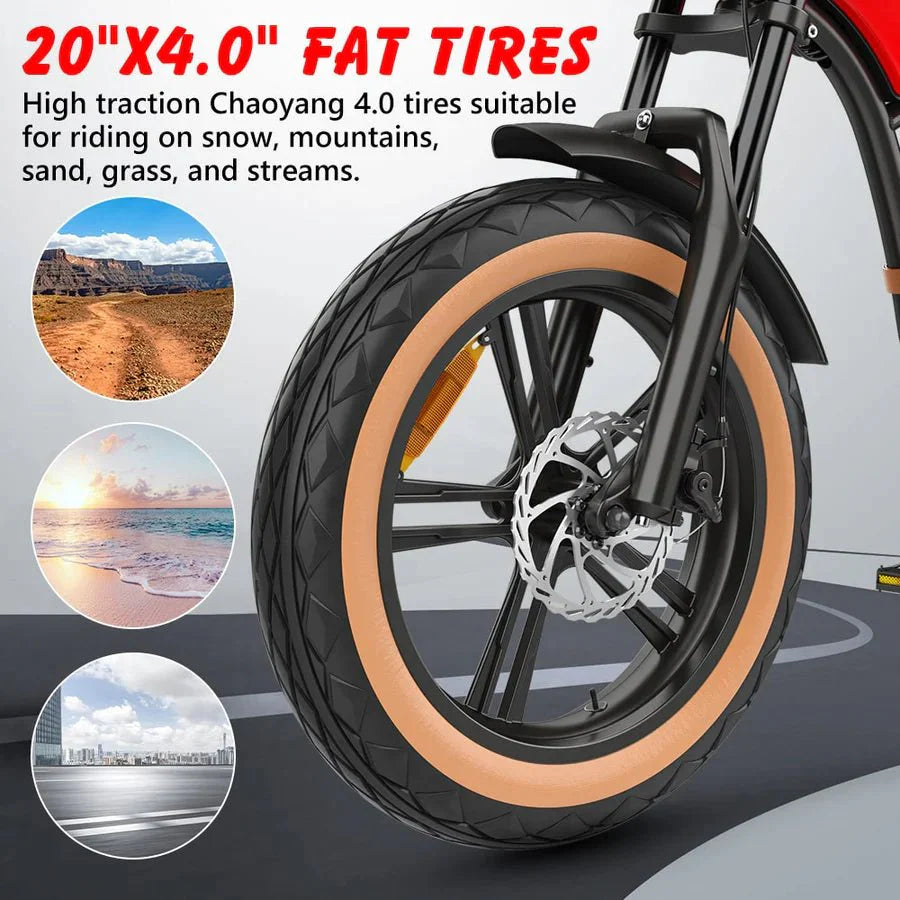 Hidoes B10 20" Fat Tire Electric Bike 1000W 48V 12.5Ah