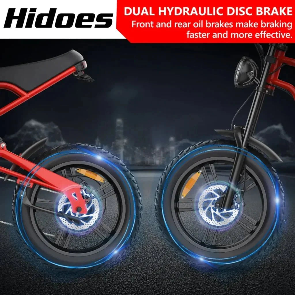 Hidoes B6 20" Fat Tyre Electric Electric Bike 700W 48V 15.6AH