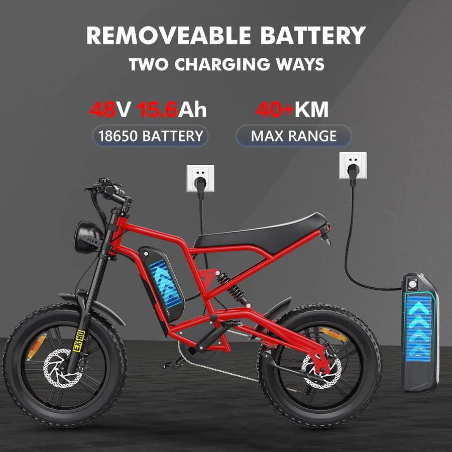 Hidoes B6 20" Fat Tyre Electric Electric Bike 700W 48V 15.6AH